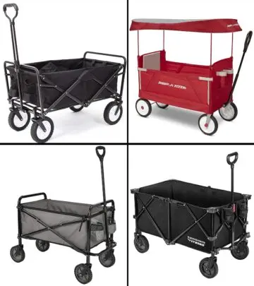 13 Best Folding Wagons That Are Lightweight And Durable, 2024_image