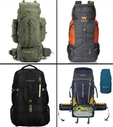 13 Best Rucksacks In India In 2024_image