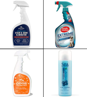 15 Best Pet Stain Removers And Carpet Cleaners In 2024