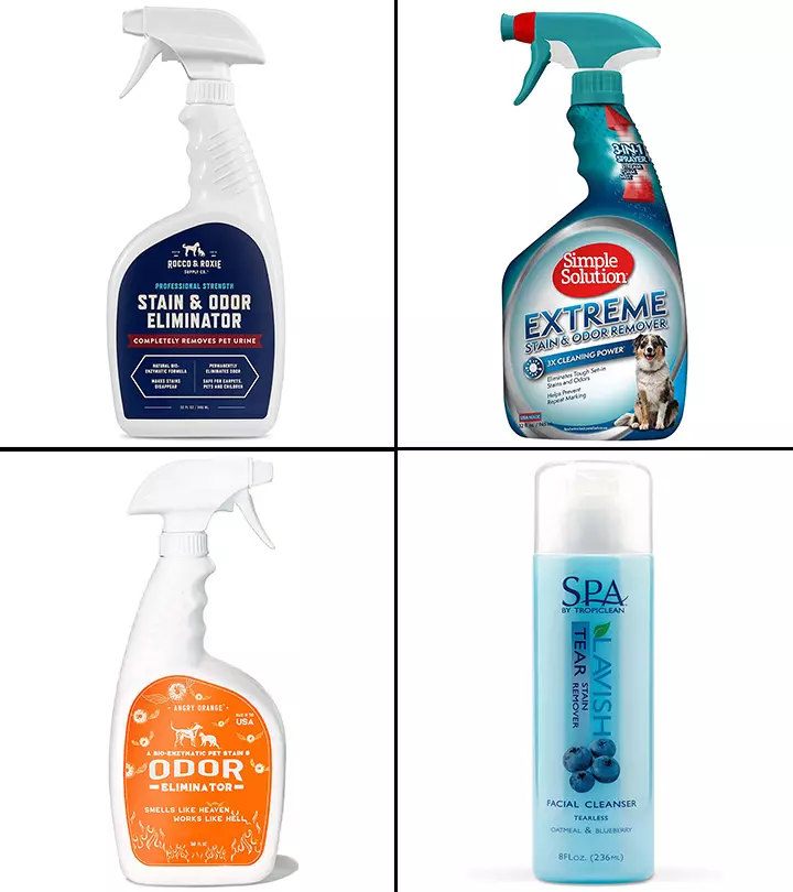 15 Best Pet Stain Removers And Carpet Cleaners In 2024_image