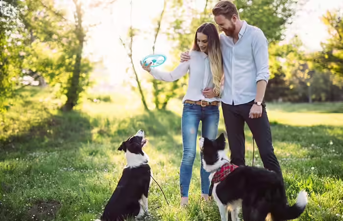 Couple walking their dogs Couple walking their dogs