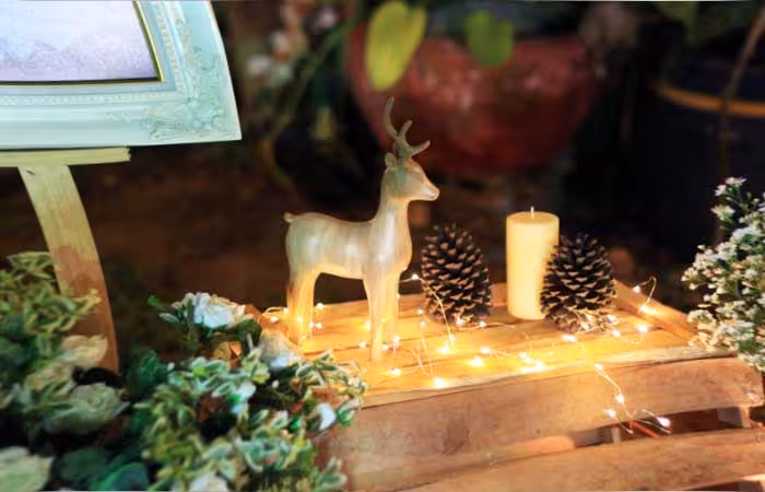 Opt for winter wedding idea within your budget Opt for winter wedding idea within your budget