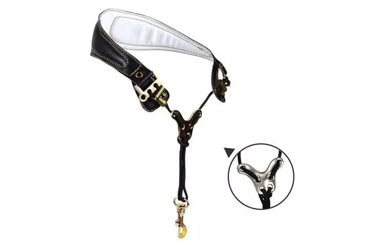 Adorence Premium Saxophone Neck Strap