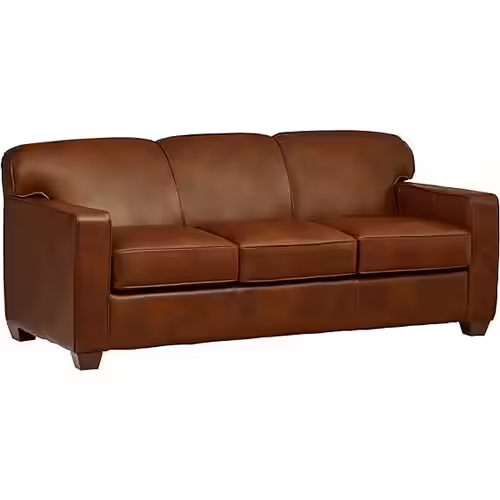 Amazon Brand &ndash; Stone & Beam Fischer Queen-Sized Sleeper Sofa