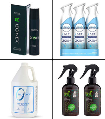 12 Best Odor Eliminators For Rooms In 2024, Expert-Reviewed