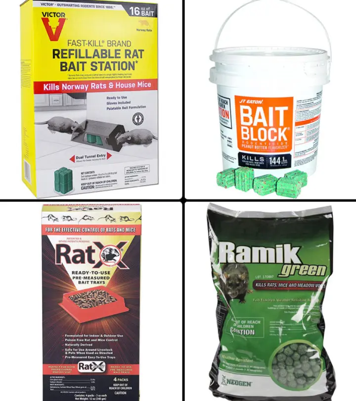 11 Best Rat Poisons For Pest Control At Home In 2024, Expert-Reviewed_image