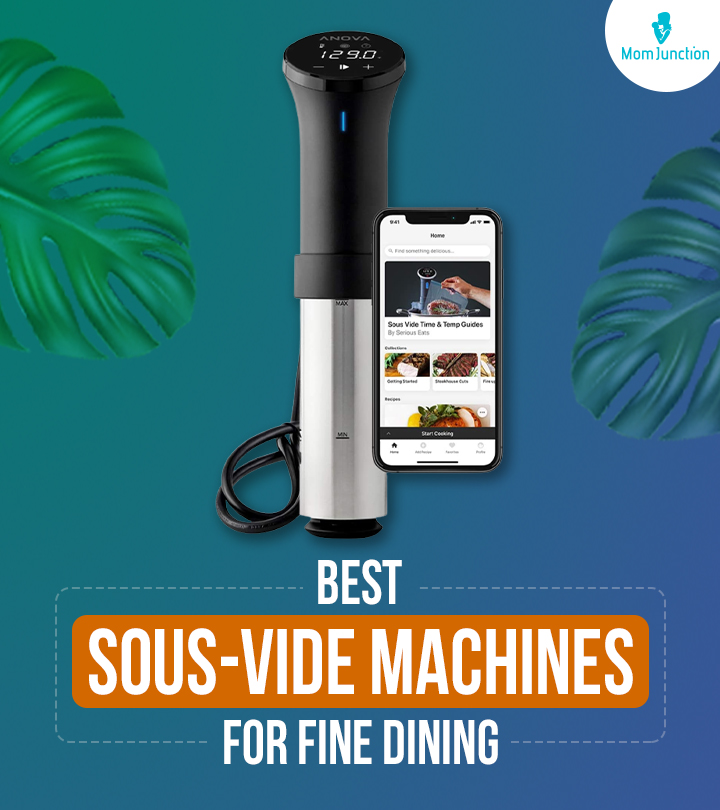 10 Best Sous-Vide Machines For Fine Dining In 2024_image