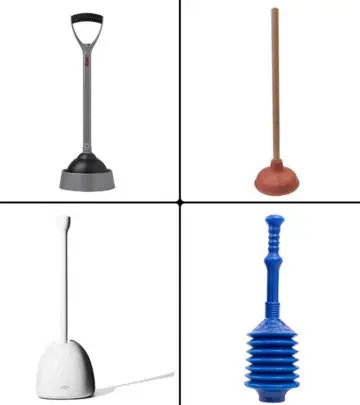 11 Best Toilet Plungers in 2024_image