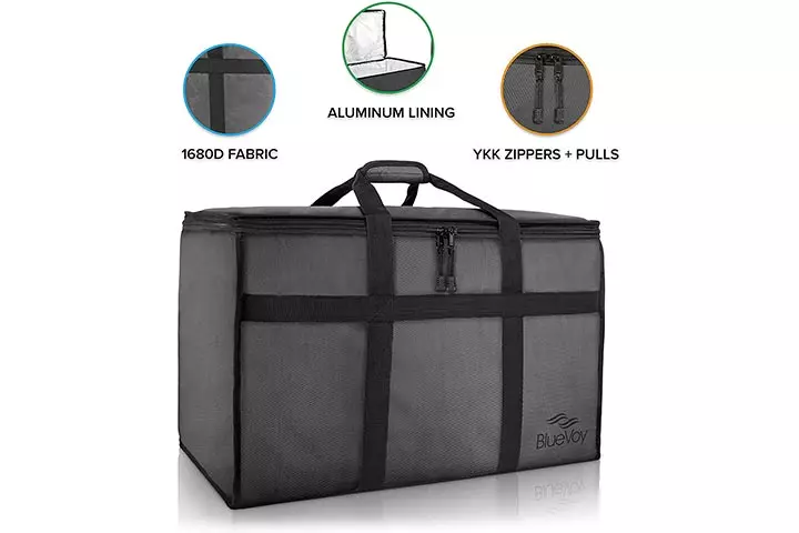 BlueVoy Insulated Food Delivery Bag