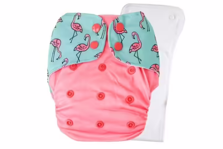 Bouncing Peaches Cloth Diaper