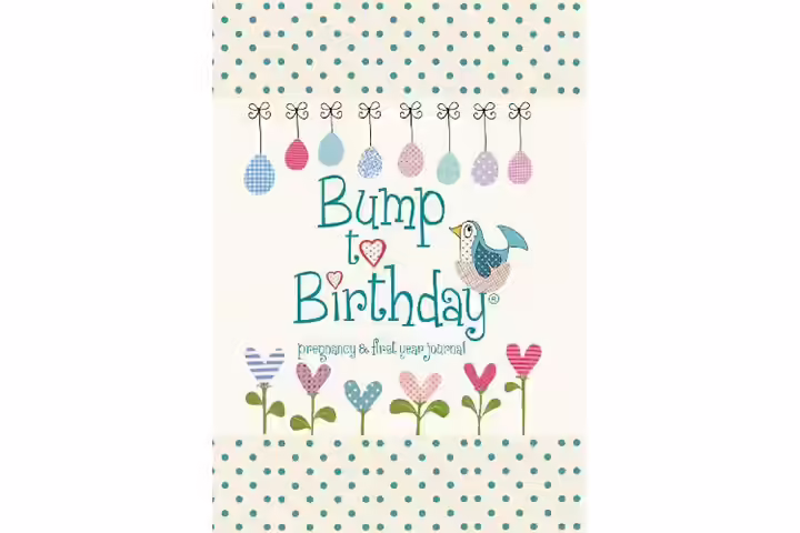 Bump To Birthday Pregnancy & First Year Journal - Helen Stephens