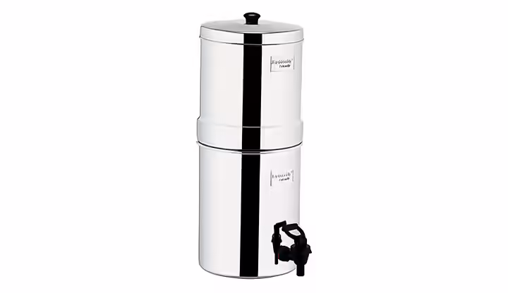 Butterfly Stainless Steel Water Filter