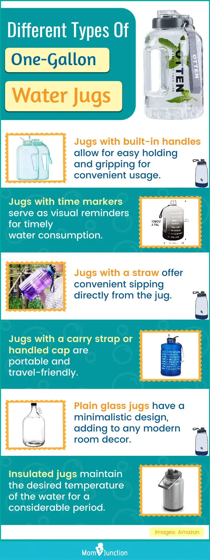 Different Types Of One Gallon Water Jugs (infographic)