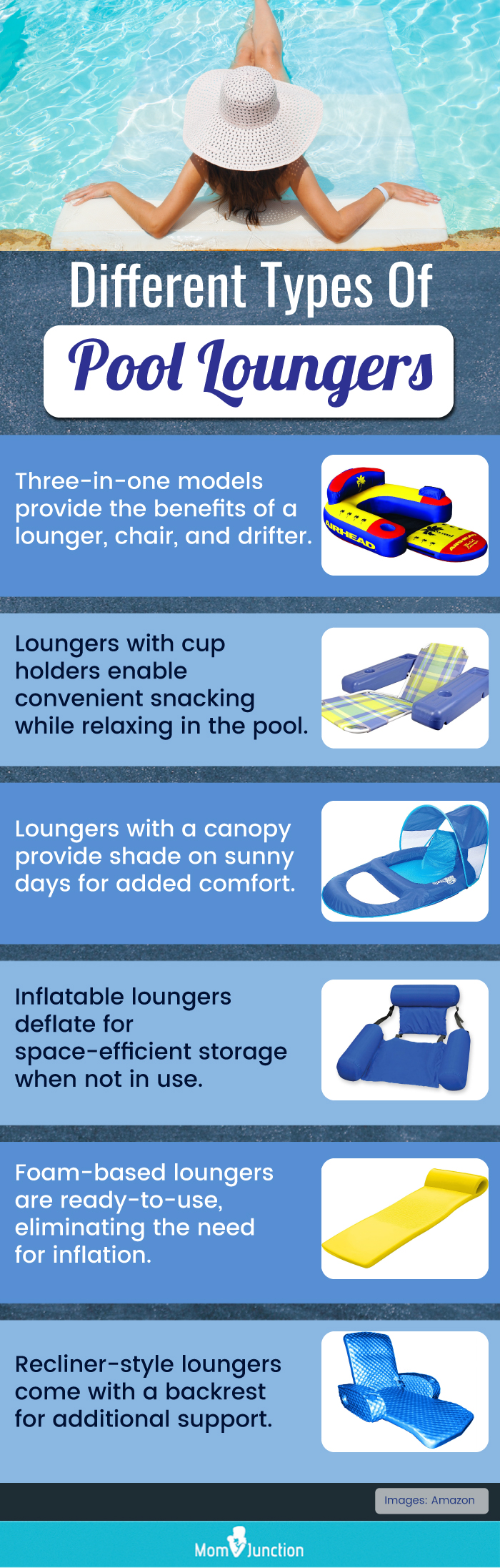 Different Types Of Pool Loungers (infographic)