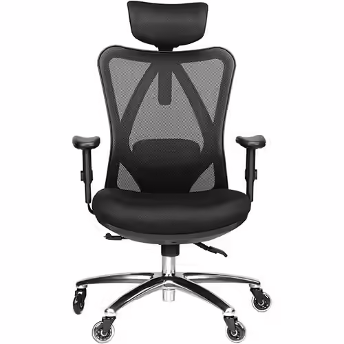 Duramont Ergonomic Adjustable Office Chair