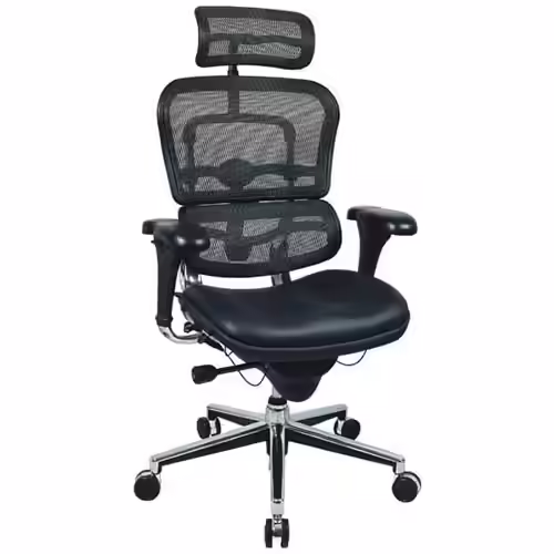 Ergohuman High Back Swivel Chair