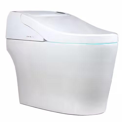 Euroto One-Piece Smart Toilet