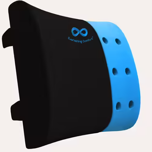 Everlasting Comfort Gel-Infused Lumbar Support Pillow