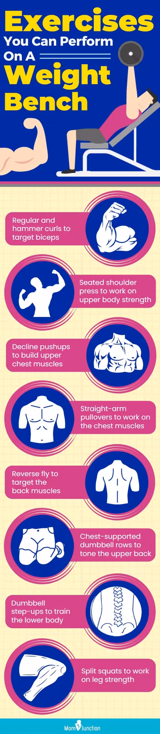Exercises You Can Perform On A Weight Bench (infographic)