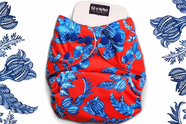 Fig-o-honey Reusable Cloth Diaper