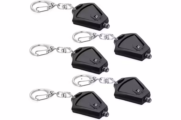 Finware 5 Pack Mini LED Keychain Flashlight