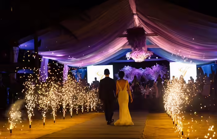 Fireworks/light shows for the grand finale of the wedding Fireworks/light shows for the grand finale of the wedding
