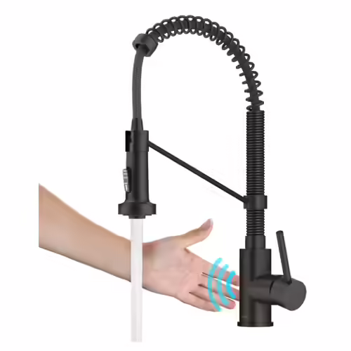 Forious Black Kitchen Faucet
