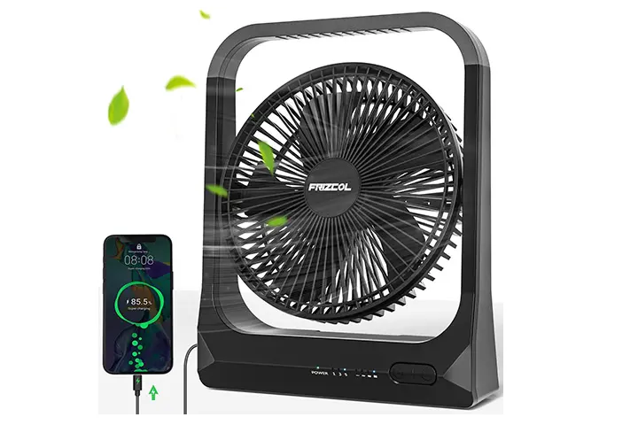 Frizcol 8-inch USB Portable Fan