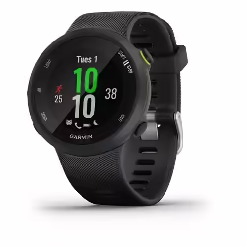 Garmin Forerunner 45 Smart Watch