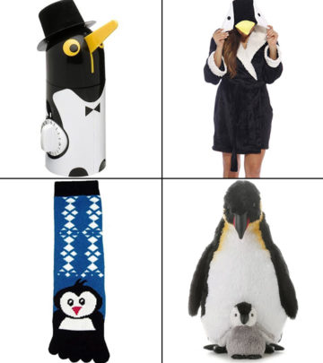 27 Best Gifts For Penguin Lovers In 2024, Expert-Recommended