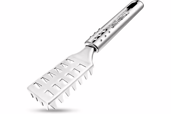 GiniHome Fish Scaler Brush