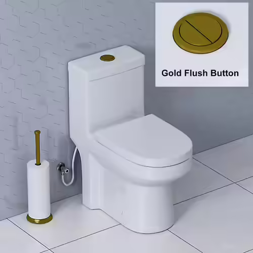 Horow One Piece Small Toilet With Gold Flush Button