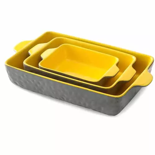 Lareina Baking Dishes For Oven