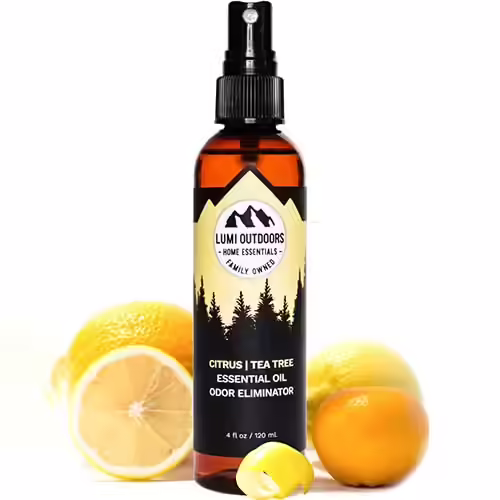 Lumi Outdoors Natural Shoe Deodorizer