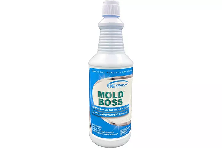 Mold Boss Professional Mold And Mildew Remover, Cleaner