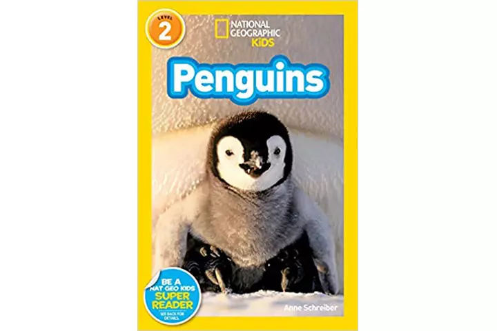 Nat Geo Penguin Edition