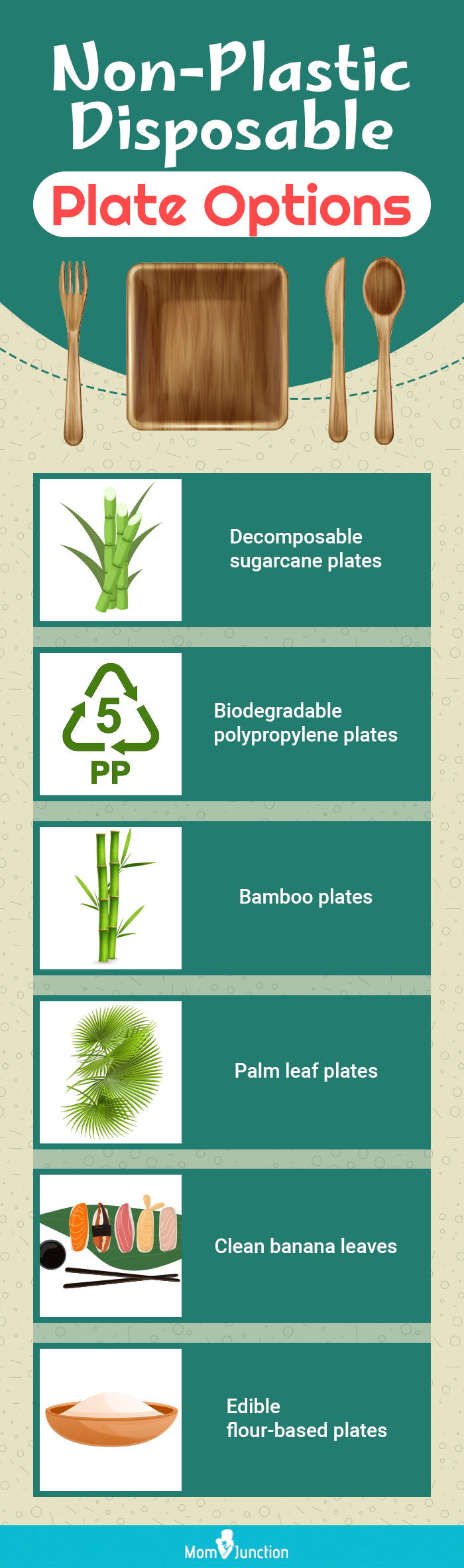 Non-Plastic Disposable Plate Options (infographic)