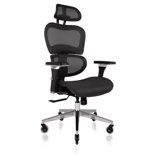 Nouhaus Ergonomic Office Chair