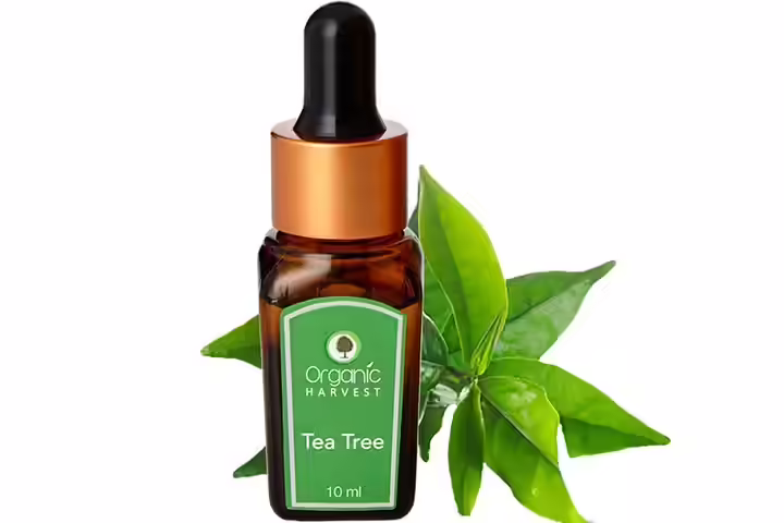 Organic Harvest Tea Tree Essential Oil