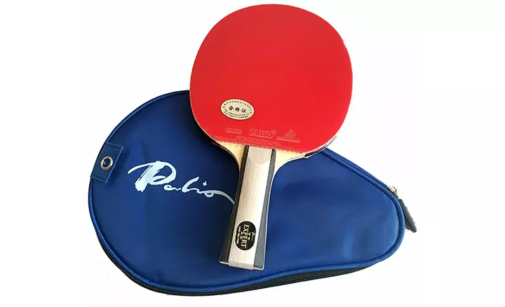 Palio Expert 2.0 Table Tennis Racquet And Case