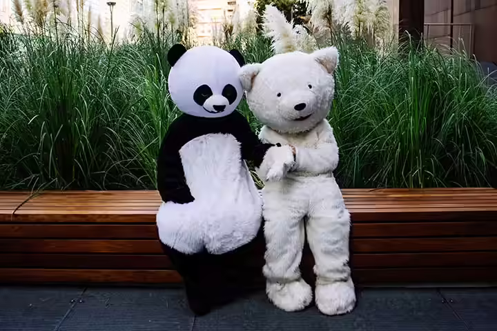 Panda and teddy couple costume ideas Panda and teddy couple costume ideas