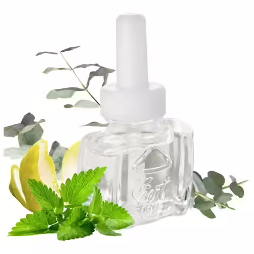 Scent Fill Eucalyptus Spearmint Plug-In Air Freshener Starter Kit