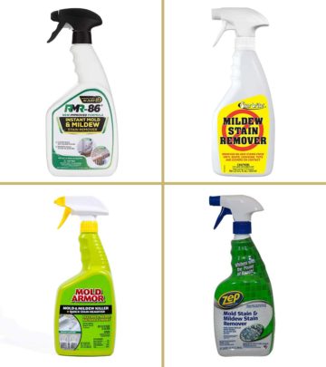 20 Best Shower Cleaners In 2024