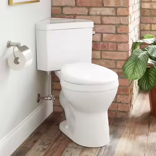 Signature Hardware Braeburn Two Piece Round Chair Height Toilet