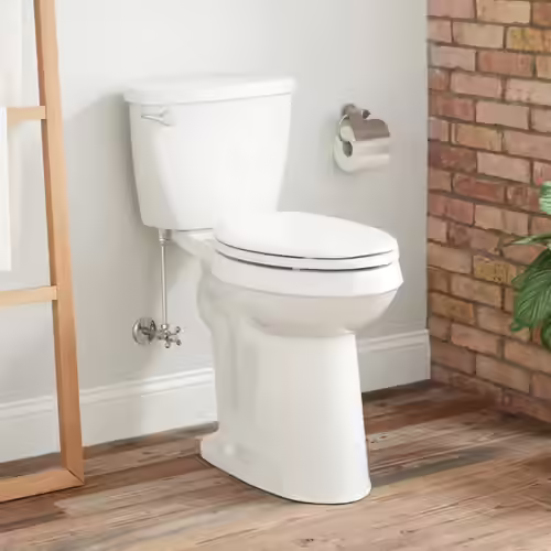 Signature Hardware Elongated Toilet