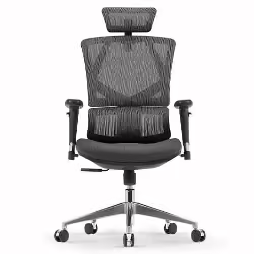 Sihoo High Back Desk Chair