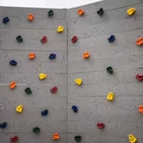 Squirrel Products Deluxe Rock Climbing Holds