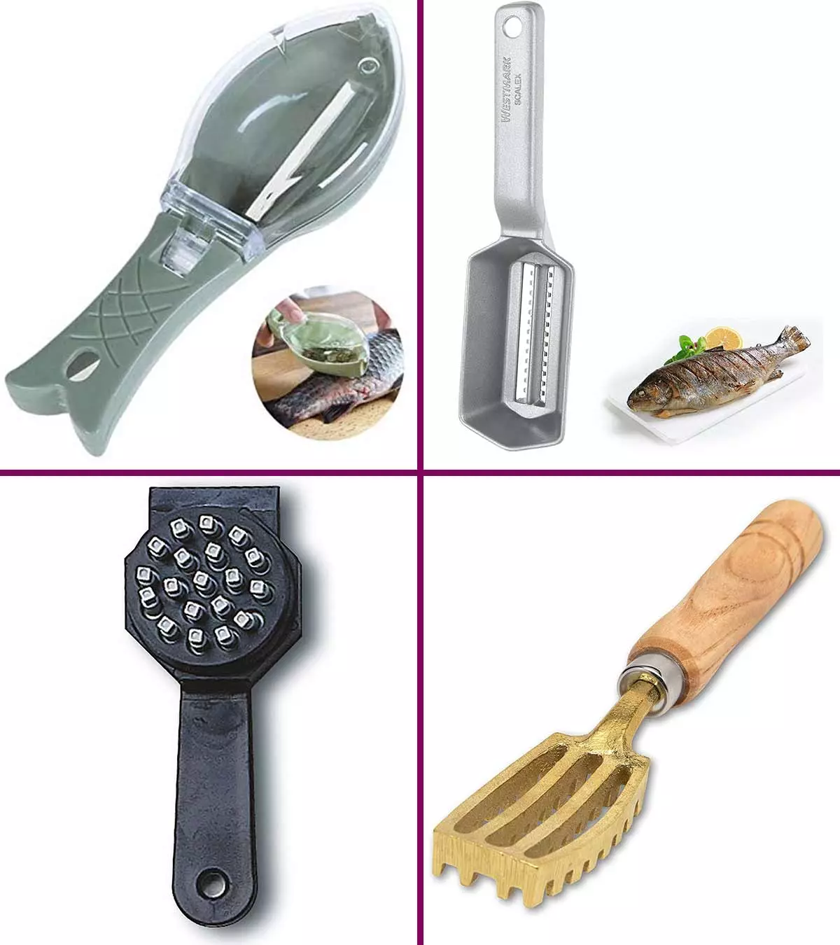 11 Best Fish Scalers In 2024, Expert Recommendations