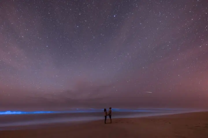 Vacation at a bioluminescent beach