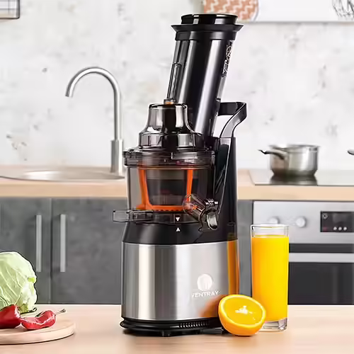 Ventray Slow Press Masticating juicer